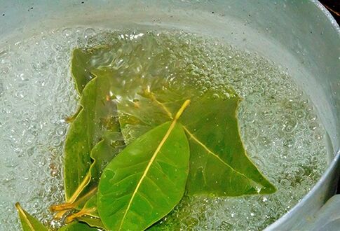 Una decocción de hojas de laurel para un baño relajante para problemas de potencia. 