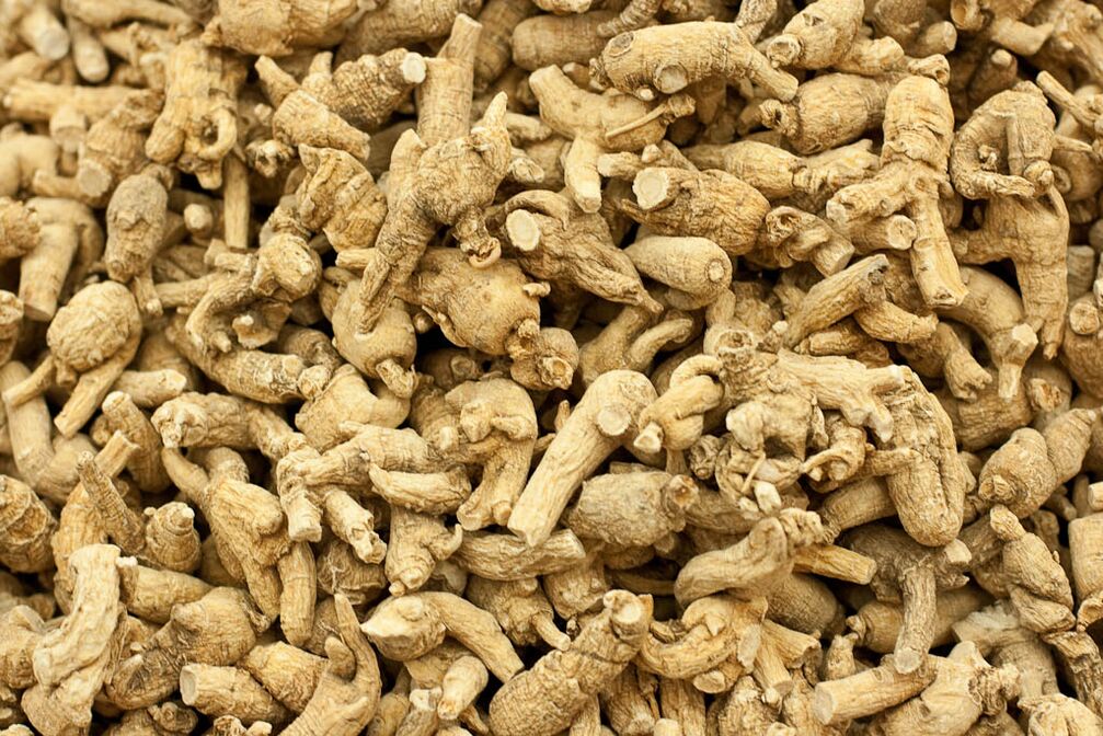 raíz de ginseng para aumentar la potencia